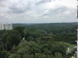 Eco Sanctuary (D23), Condominium #133696002